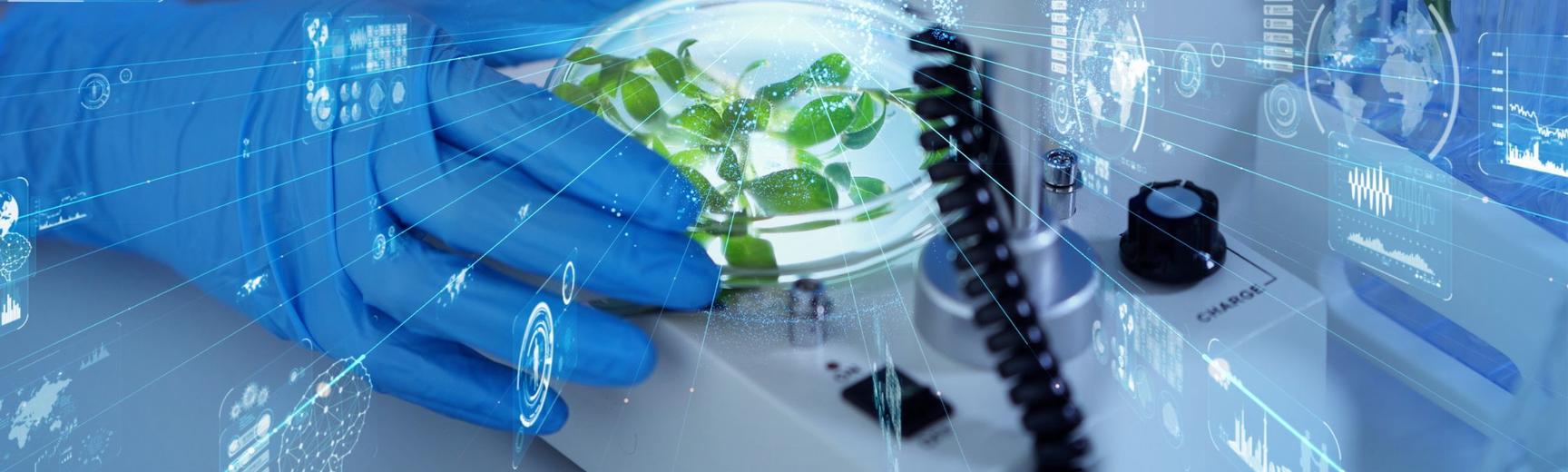Abstract image showing a dish in a lab.